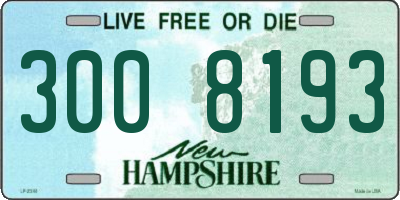 NH license plate 3008193