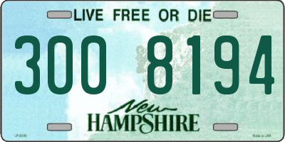 NH license plate 3008194