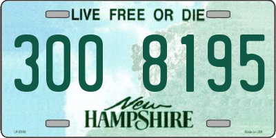 NH license plate 3008195