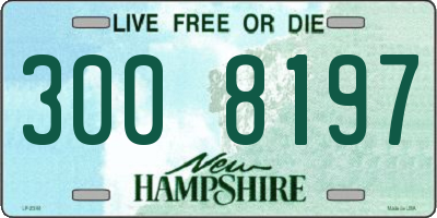 NH license plate 3008197