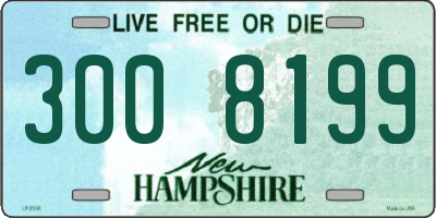 NH license plate 3008199