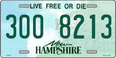 NH license plate 3008213