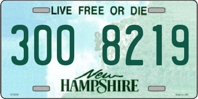 NH license plate 3008219