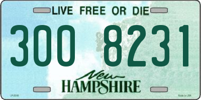 NH license plate 3008231
