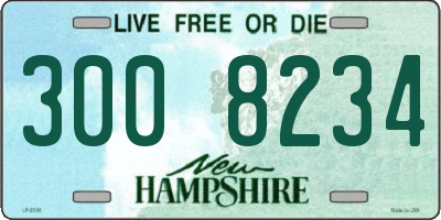 NH license plate 3008234