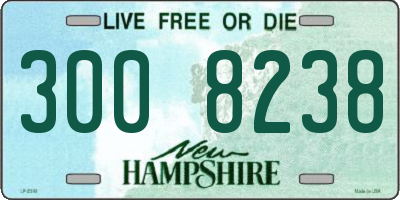 NH license plate 3008238