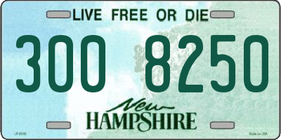 NH license plate 3008250