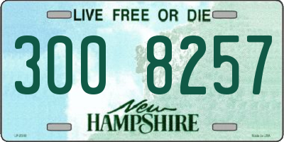NH license plate 3008257