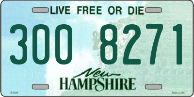 NH license plate 3008271
