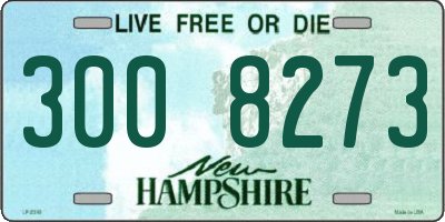 NH license plate 3008273