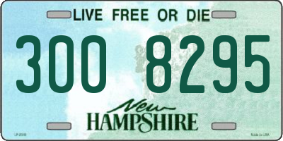 NH license plate 3008295