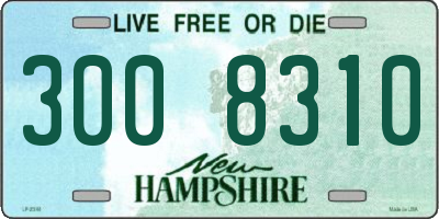NH license plate 3008310