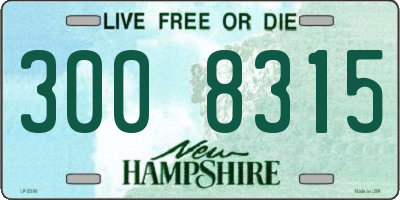NH license plate 3008315