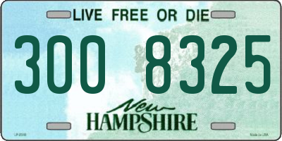 NH license plate 3008325