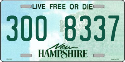 NH license plate 3008337