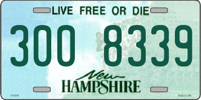 NH license plate 3008339