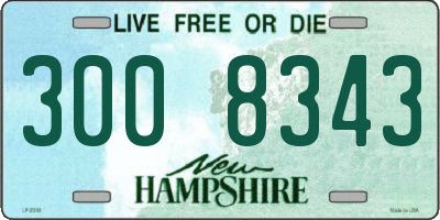 NH license plate 3008343