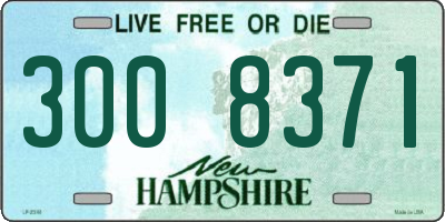 NH license plate 3008371