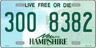 NH license plate 3008382