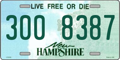 NH license plate 3008387