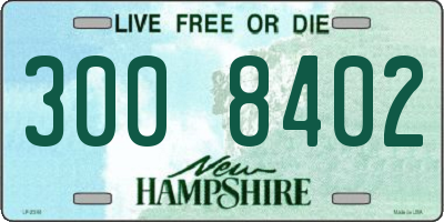 NH license plate 3008402