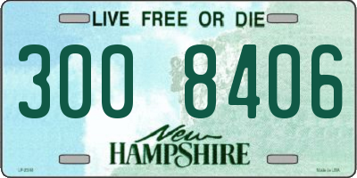 NH license plate 3008406