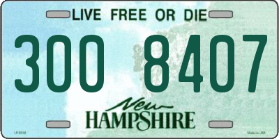 NH license plate 3008407
