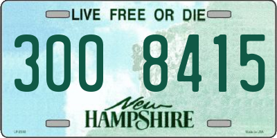 NH license plate 3008415