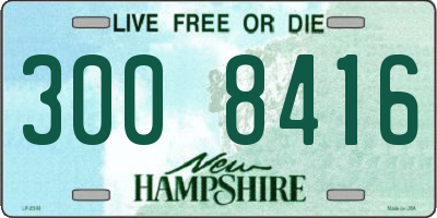 NH license plate 3008416