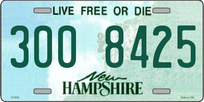 NH license plate 3008425
