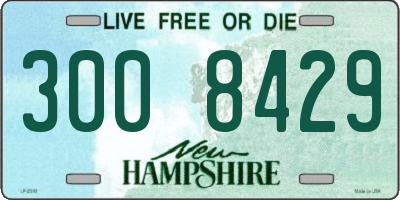 NH license plate 3008429