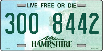 NH license plate 3008442