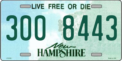 NH license plate 3008443