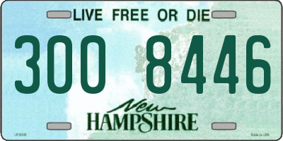 NH license plate 3008446