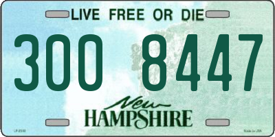 NH license plate 3008447