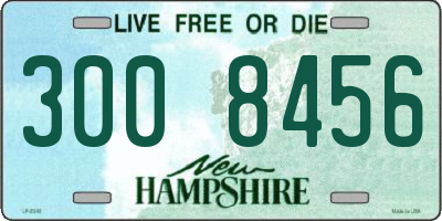 NH license plate 3008456