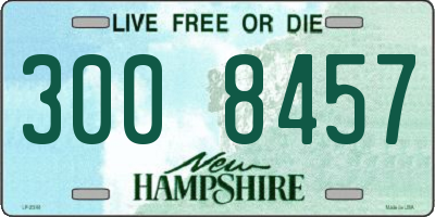 NH license plate 3008457