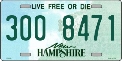 NH license plate 3008471