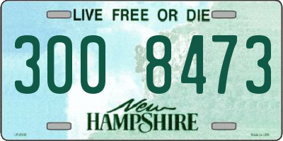 NH license plate 3008473