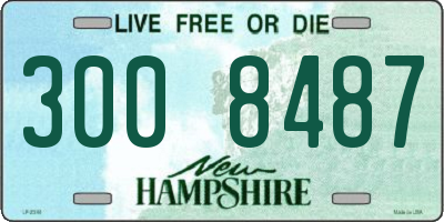 NH license plate 3008487