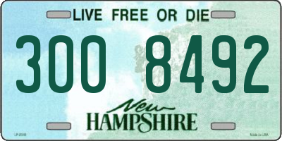 NH license plate 3008492