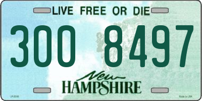 NH license plate 3008497