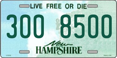 NH license plate 3008500