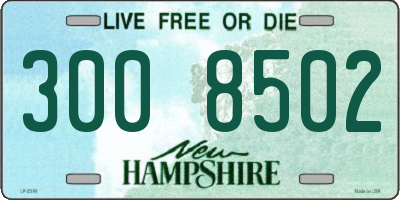 NH license plate 3008502