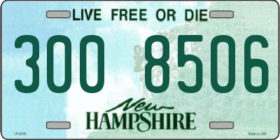 NH license plate 3008506