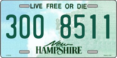 NH license plate 3008511