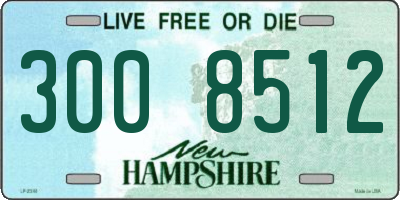 NH license plate 3008512