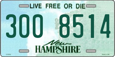 NH license plate 3008514