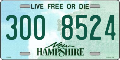 NH license plate 3008524