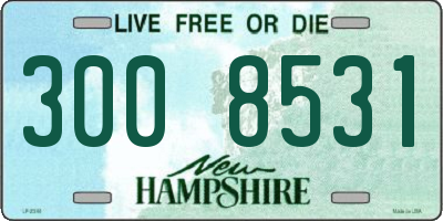 NH license plate 3008531